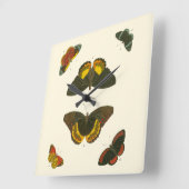 Helle Schmetterlinge von Pieter Cramer Quadratische Wanduhr (Winkel)