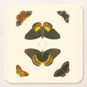 Helle Schmetterlinge von Pieter Cramer Rechteckiger Pappuntersetzer (Vorderseite)