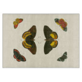 Helle Schmetterlinge von Pieter Cramer Schneidebrett (Vorderseite)