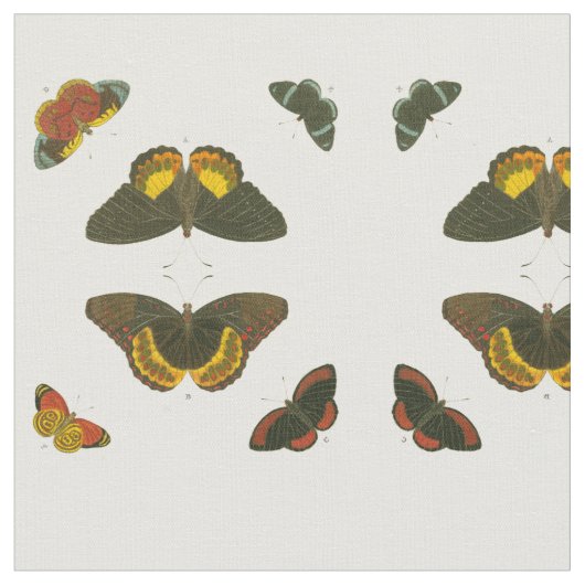 Helle Schmetterlinge von Pieter Cramer Stoff (Nahaufnahme)