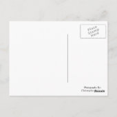 Helle Skizze Postkarte (Rückseite)