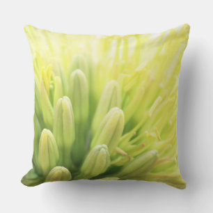 Helle Sommer-Agave-Blüte Kissen