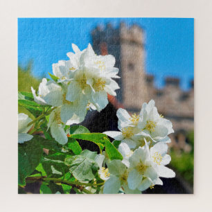 Helle Sommerblüten in London - 20x20 - 676 pc Puzzle