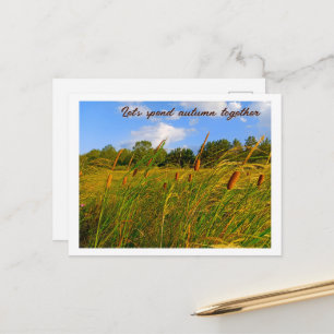 Helle Sommerwanderung Wilde Rohrkolben Postkarte