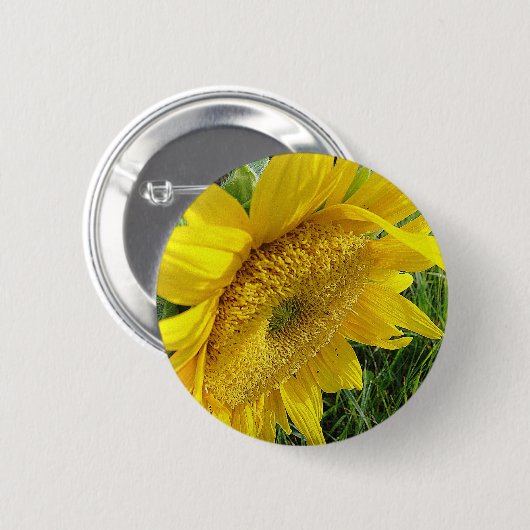 Helle Sonnenblume Button (Vorne & Hinten)