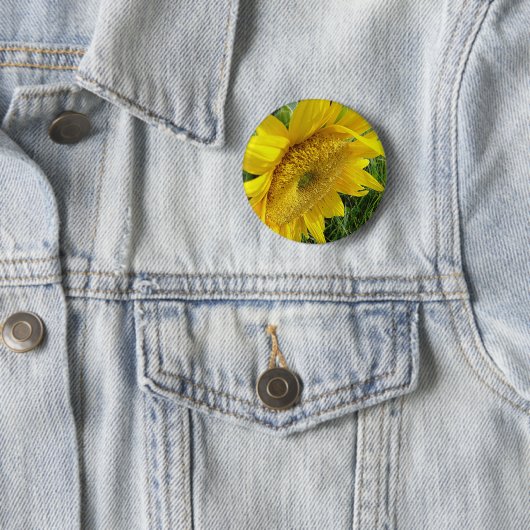 Helle Sonnenblume Button (Beispiel)