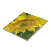 Helle Sonnenblume Fliese (Seite)