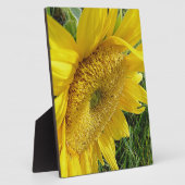 Helle Sonnenblume Fotoplatte (Seite)