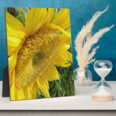 Helle Sonnenblume Fotoplatte (Seite)