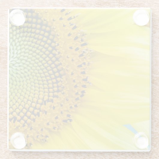 Helle Sonnenblume Glasuntersetzer (Rückseite)
