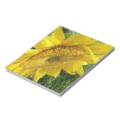 Helle Sonnenblume Notizblock (Rotiert)