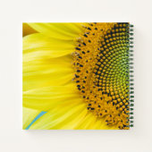 Helle Sonnenblume Notizblock (Rückseite)