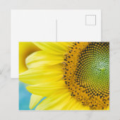Helle Sonnenblume Postkarte (Vorne/Hinten)