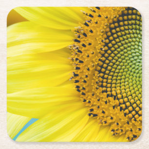Helle Sonnenblume Rechteckiger Pappuntersetzer