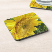 Helle Sonnenblume Untersetzer (Linke Seite)