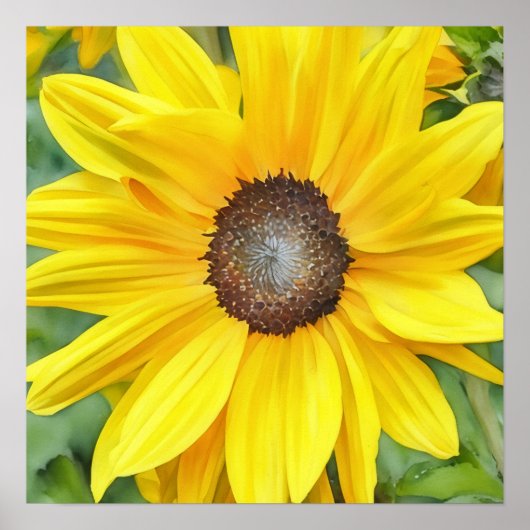Helle Sonnenblumen Nah Wasserfarben Art Poster (Vorne)