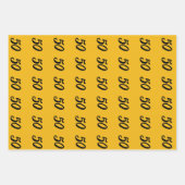 helle Sonnenblumenwasserfarbe fabelhaft 50 Geschenkpapier Set (Vorderseite 2)