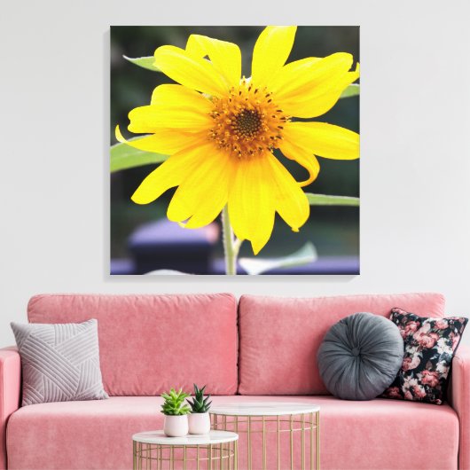 Helle Sonnengelbe Sonnenblume Nah-up 24" x 24" Leinwanddruck (Insitu (Wohnzimmer))