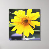 Helle Sonnengelbe Sonnenblume Nah-up 24" x 24" Leinwanddruck (Vorderseite)