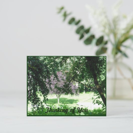 Helle Sonnenscheinbäume denken an Sie Postkarte (Stehend Vorderseite)