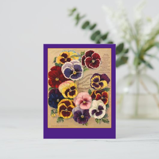 Helle Stiefmütterchen Seetasche Kunst auf Karten (Stehend Vorderseite)