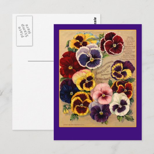 Helle Stiefmütterchen Seetasche Kunst auf Karten (Vorne/Hinten)