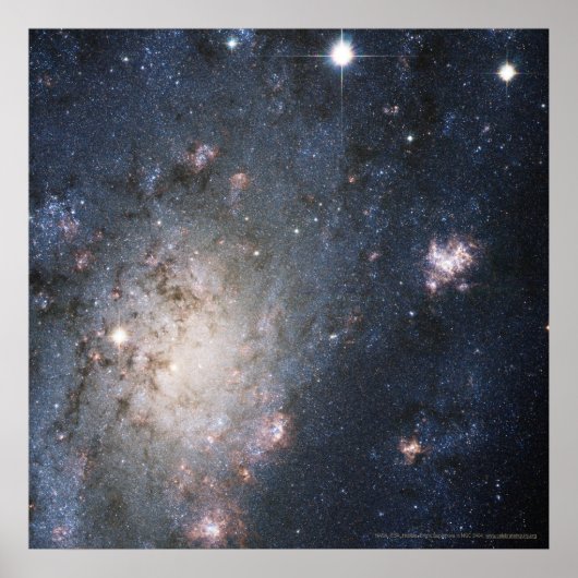 Helle Supernova in NGC 2403 12x12 (13x13) Poster (Vorne)