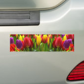 Helle Tulips Autoaufkleber (Auf Auto)