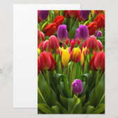 Helle Tulips Briefpapier (Vorne/Hinten)