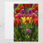 Helle Tulips Briefpapier (Vorne/Hinten)