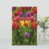 Helle Tulips Briefpapier (Stehend Vorderseite)