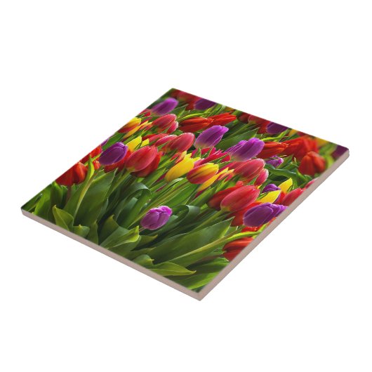 Helle Tulips Fliese (Seite)