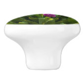 Helle Tulips Keramikknauf (Seitenansicht)