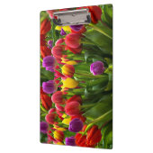 Helle Tulips Klemmbrett (Links)