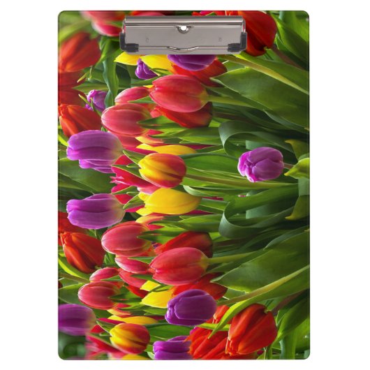 Helle Tulips Klemmbrett (Vorderseite)