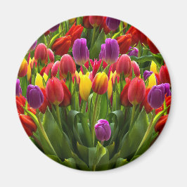 Helle Tulips Magnet