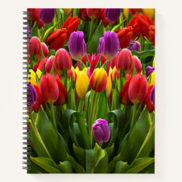 Helle Tulips Notizblock