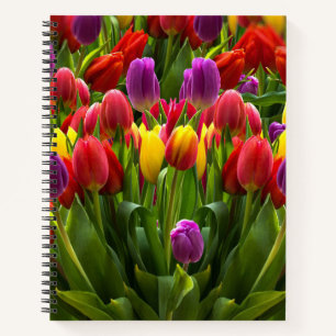 Helle Tulips Notizblock
