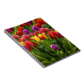 Helle Tulips Notizblock (Rechte Seite)