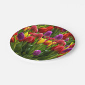 Helle Tulips Pappteller (Schrägansicht)