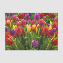 Helle Tulips Seidenpapier