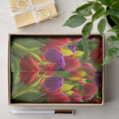Helle Tulips Seidenpapier (Geschenk)
