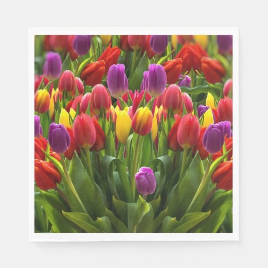 Helle Tulips Serviette (Vorderseite)