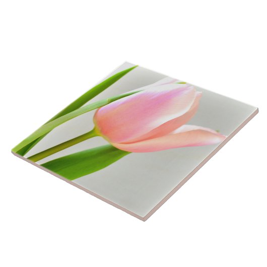 Helle Tulpe Fliese (Seite)