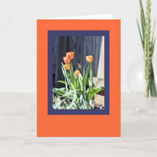 Helle Tulpen-Grußkarte Karte