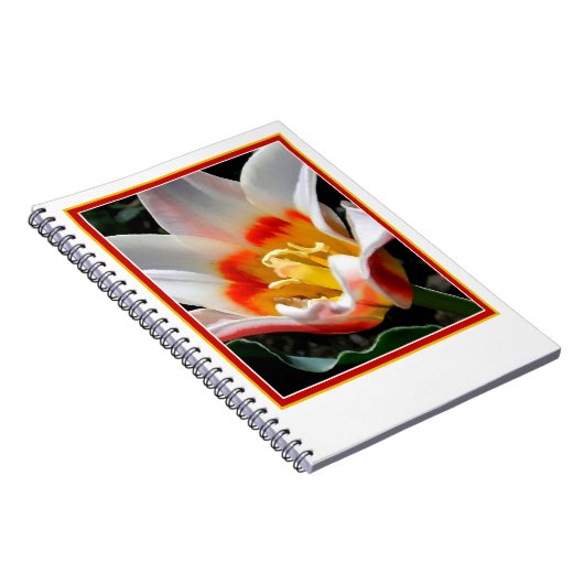 Helle Tulpenmalerei Notizblock (Rechte Seite)
