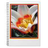 Helle Tulpenmalerei Notizblock (Vorderseite)