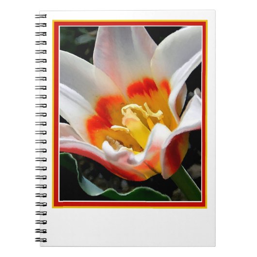 Helle Tulpenmalerei Notizblock (Vorderseite)