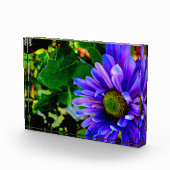 Helle violette Blume Fotoblock (Rechts)