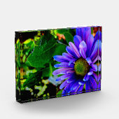 Helle violette Blume Fotoblock (Links)